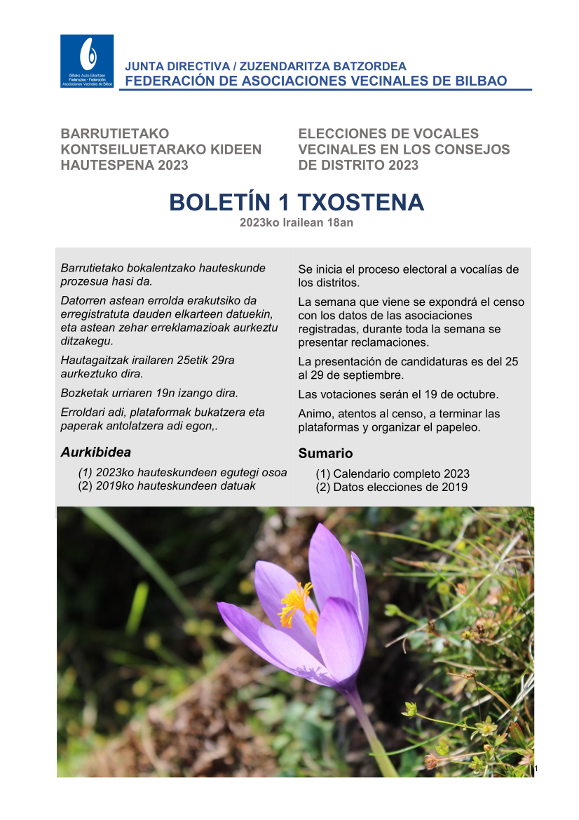 boletin 1_2023